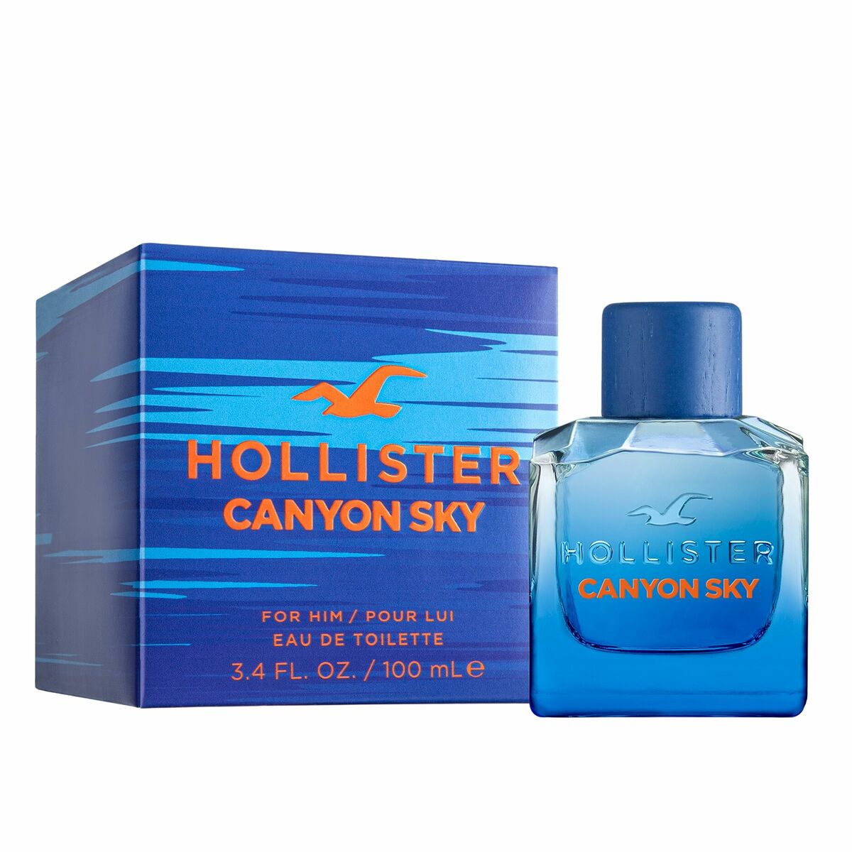 Men's Perfume Hollister Canyon Sky EDT 100 ml - Perfumes for men - Hollister - Default Title