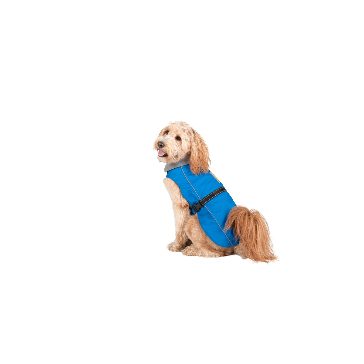 Dog raincoat Dog Gone Smart Blue 60 cm