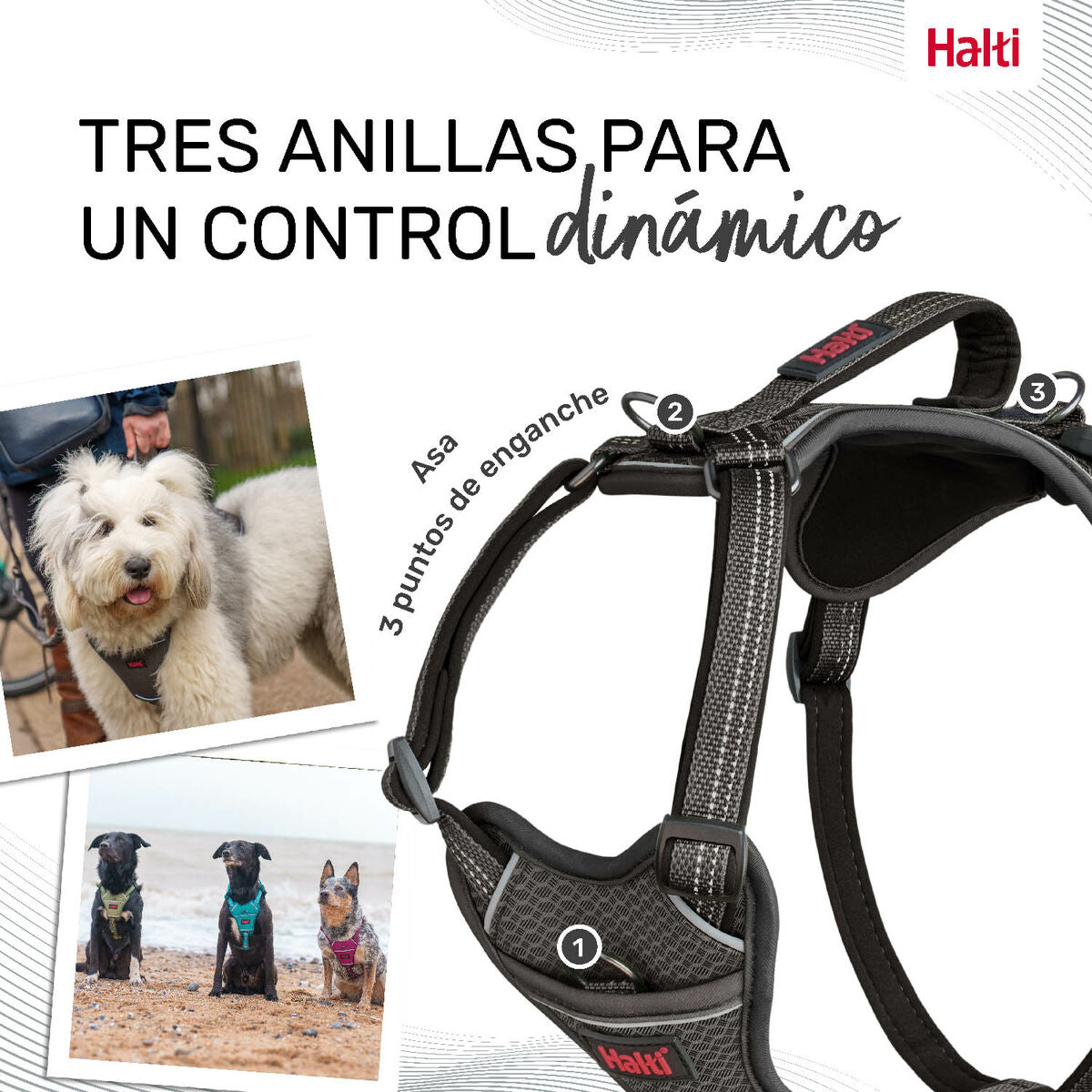 Dog Harness Company of Animals Grey L 42-65 cm