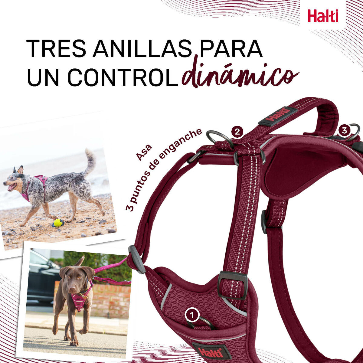 Dog Harness Company of Animals Burgundy S 28-42 cm