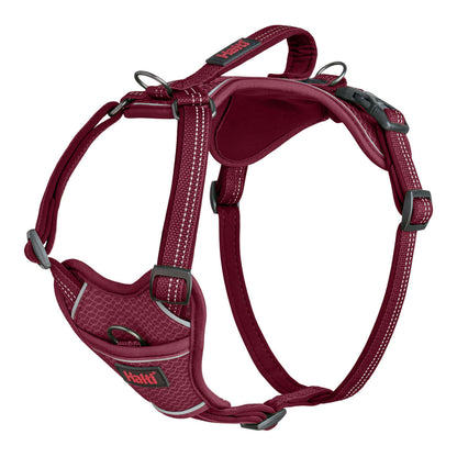 Dog Harness Company of Animals Burgundy XL 50-78 cm