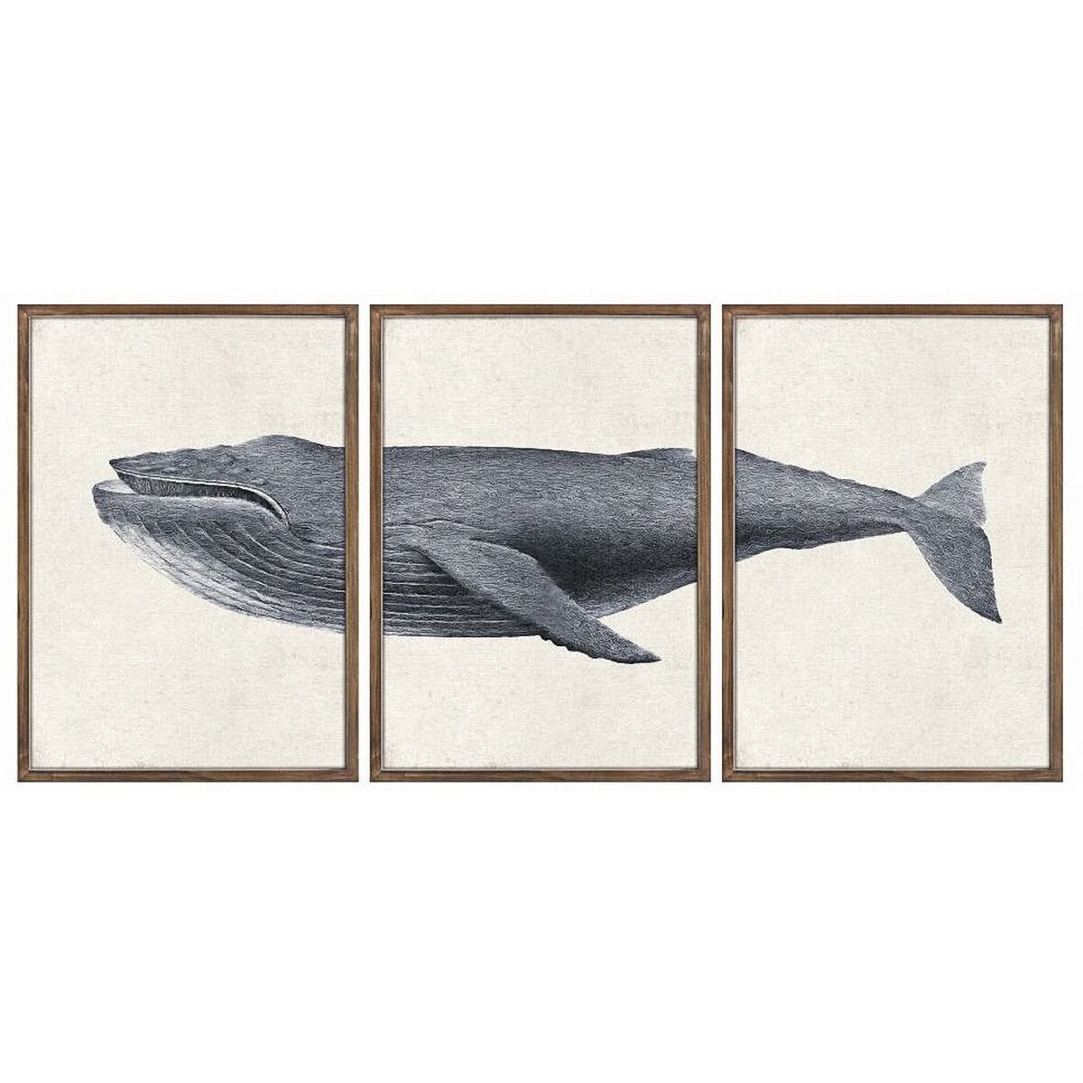 Set of 3 pictures DKD Home Decor 150 x 2 x 70 cm Whale