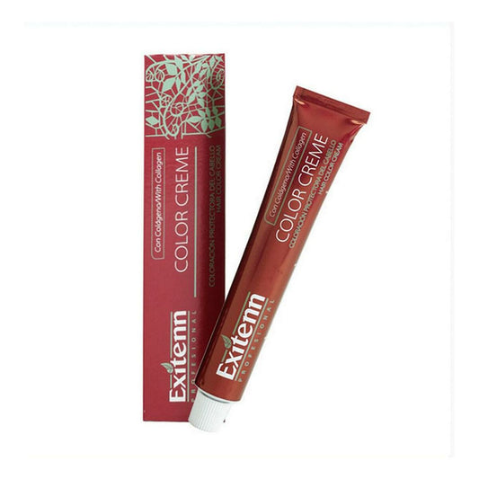 Permanent Dye Color Creme Exitenn Nº 562 Plum (60 ml) Exitenn